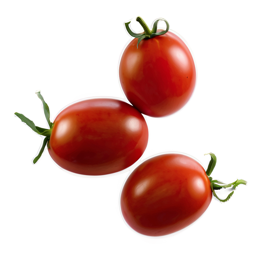 Roma Tomato Png Yqo94 PNG Image