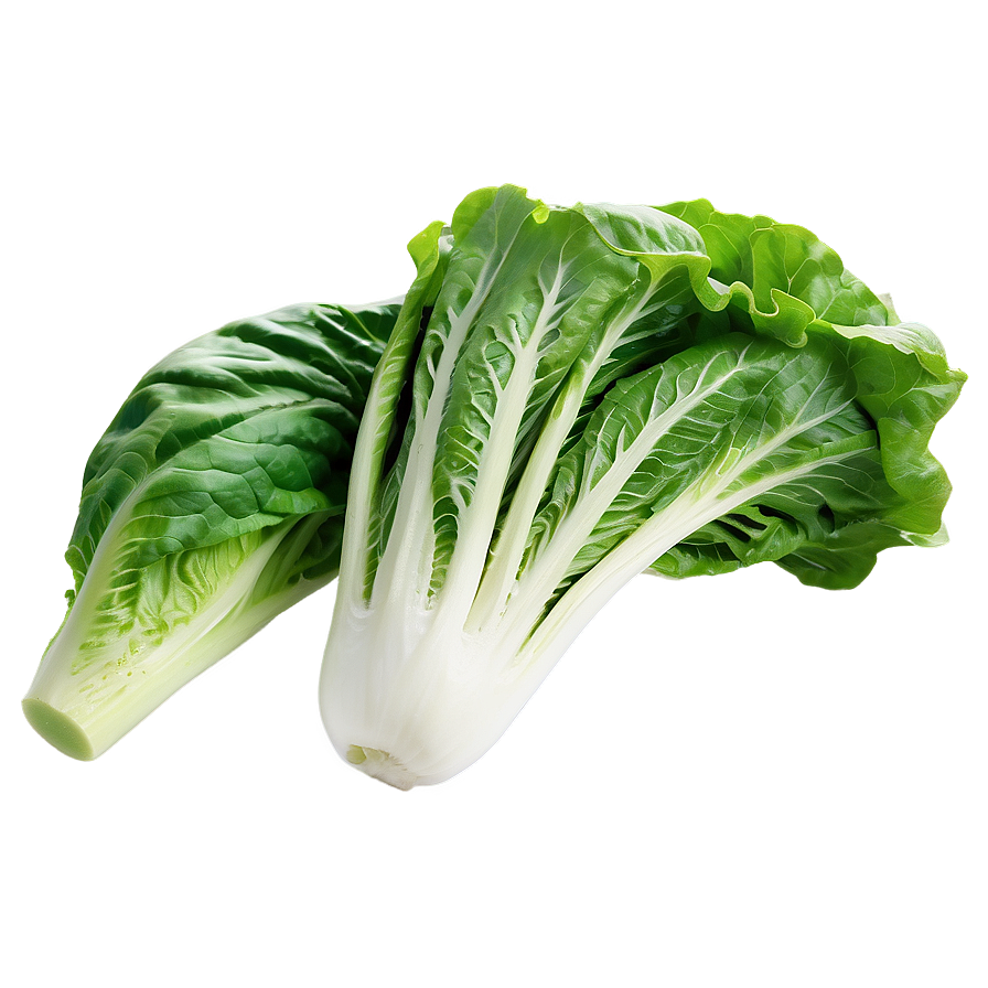 Romaine Lettuce Png 48 PNG Image