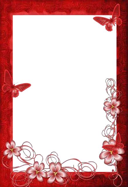 Romantic Butterfly Floral Love Frame PNG Image