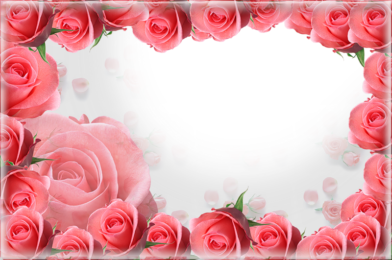 Romantic Rose Heart Frame PNG Image