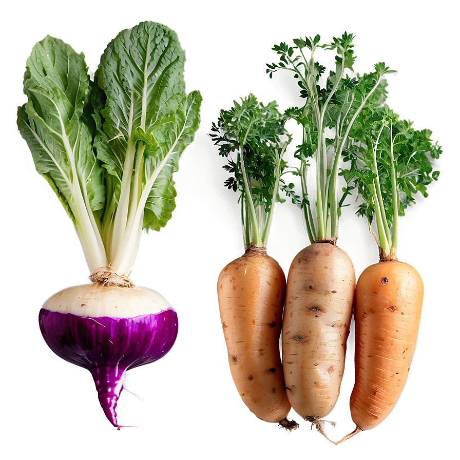 Root Vegetables Png 05242024 PNG Image