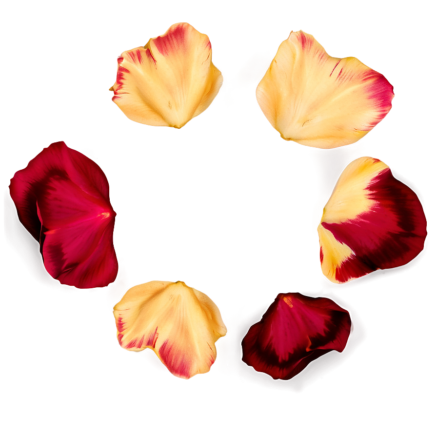 Rose Petals Circle Png 78 PNG Image