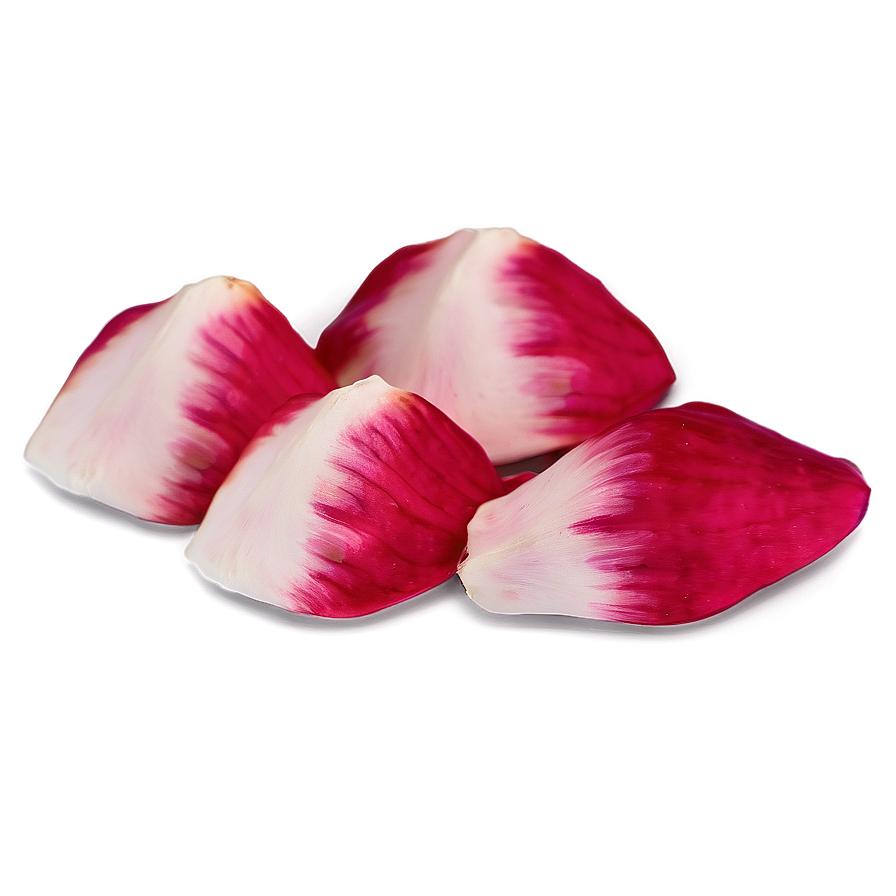 Rose Petals Close Up Png Vjl57 PNG Image