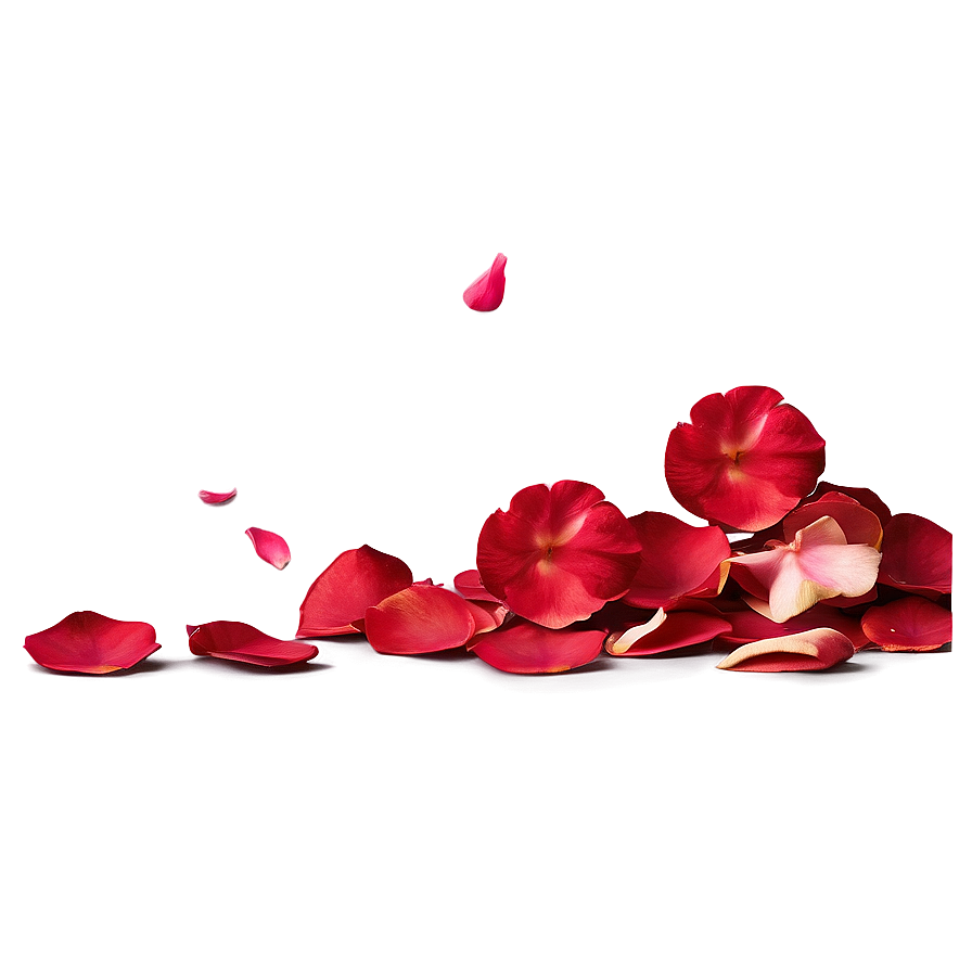 Rose Petals On Floor Png Tdg4 PNG Image