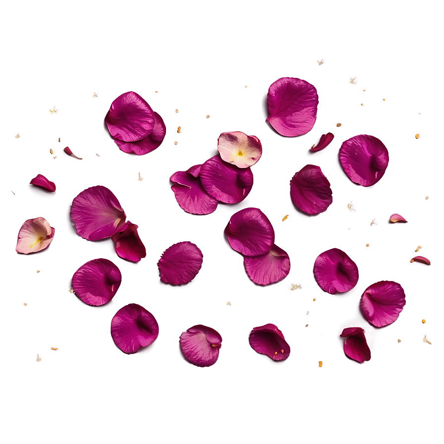 Rose Petals Sprinkled Png Bas PNG Image