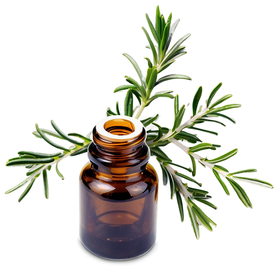 Rosemary Essential Oil Png 06292024 PNG Image