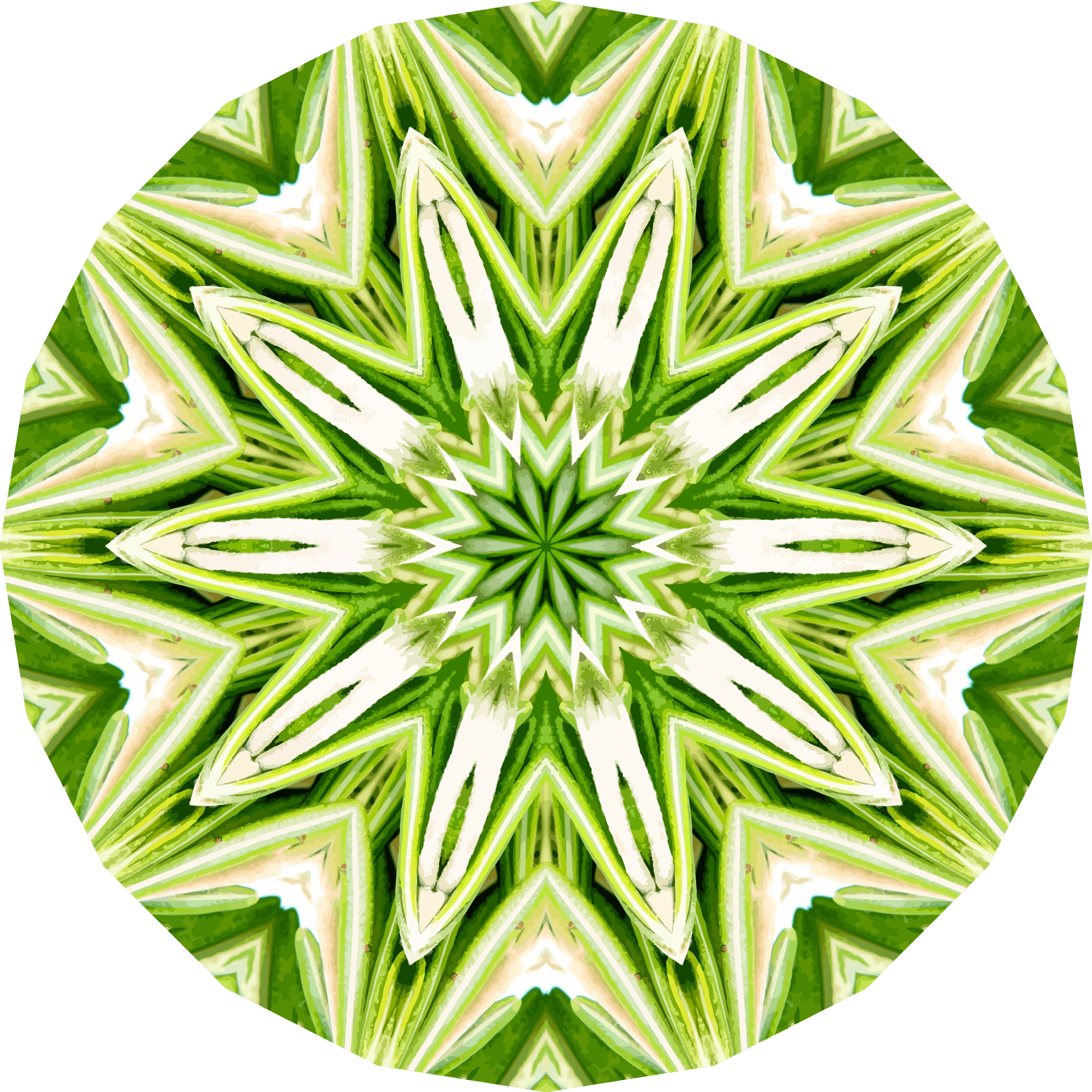 Rosemary Kaleidoscope Pattern PNG Image