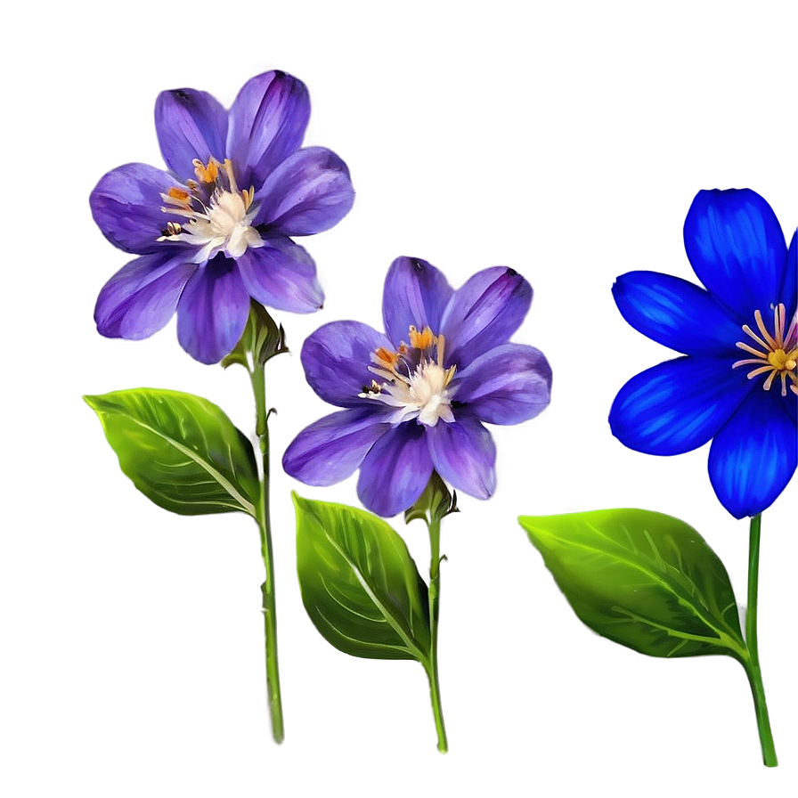 Royal Blue Flower Png Sli PNG Image