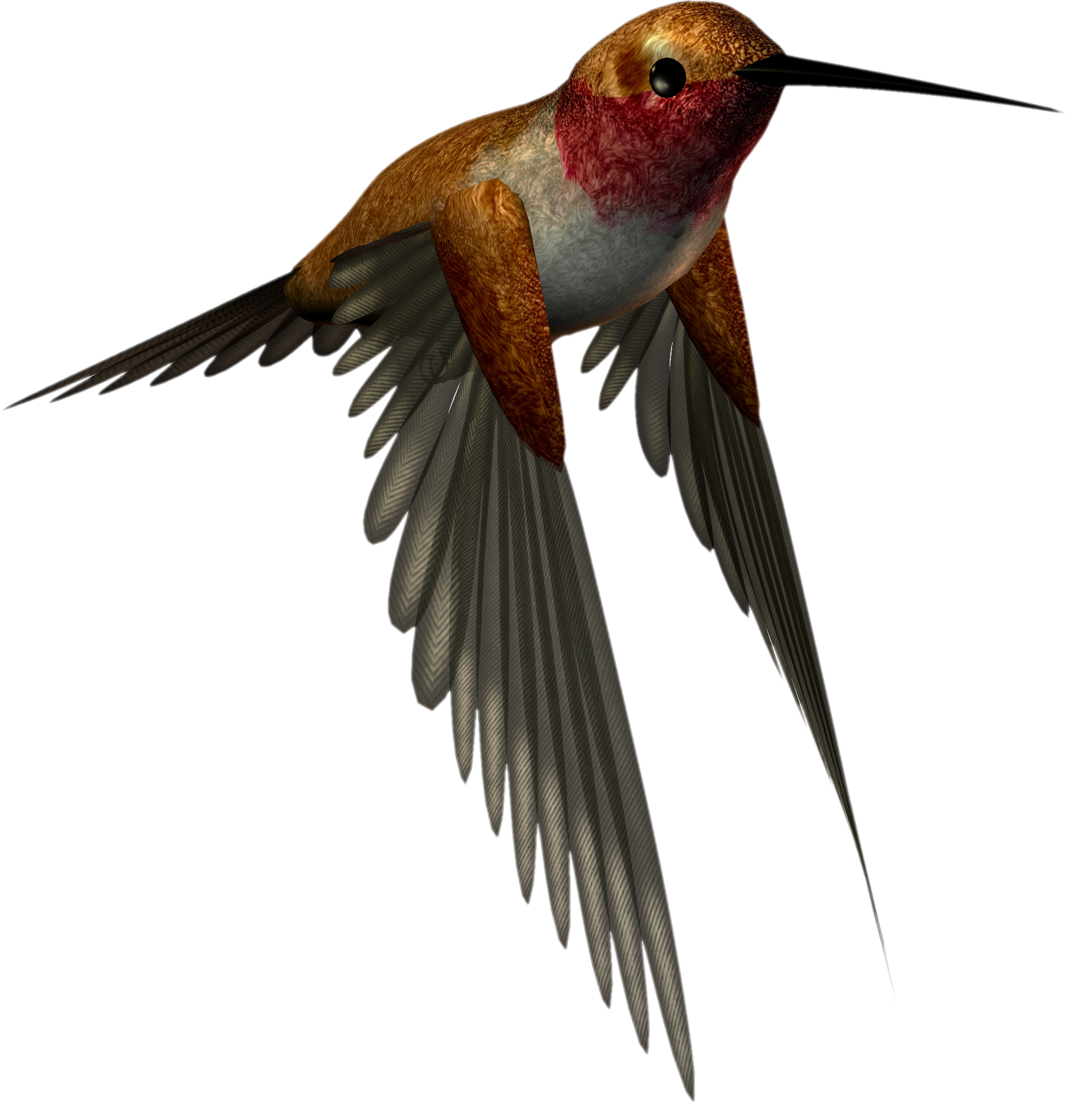 Ruby Throated Hummingbird Illustration.png PNG Image