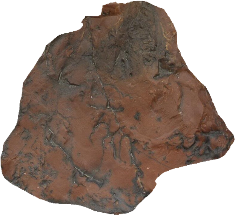 Rugged Asteroid Surface Texture PNG Image