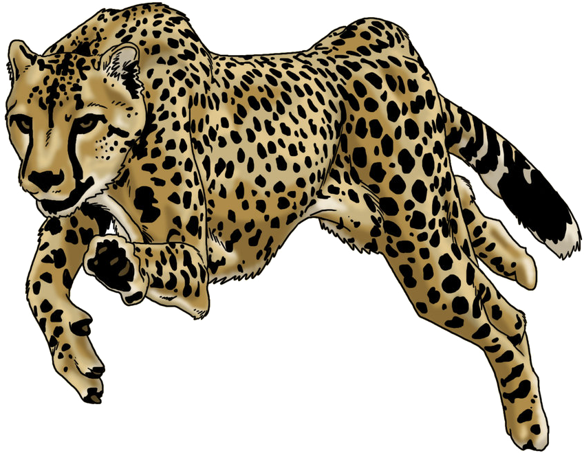 Running Cheetah Illustration PNG Image