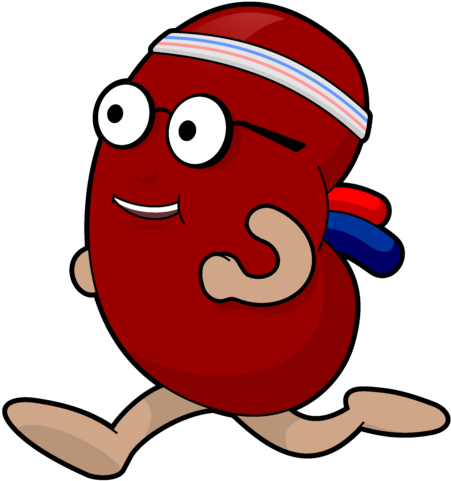 Running Kidney Cartoon Character PNG Image