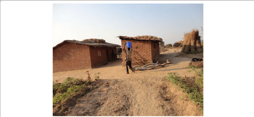 Rural_ Village_ Scene_with_ Mud_ Houses PNG Image