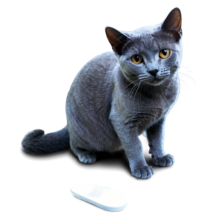 Russian Blue Cat Grooming Png 06272024 PNG Image