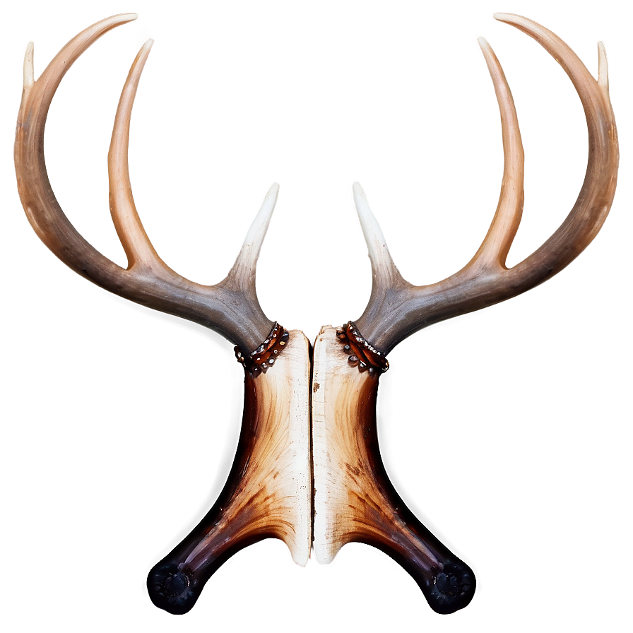 Rustic Antler Design Png Xmt PNG Image