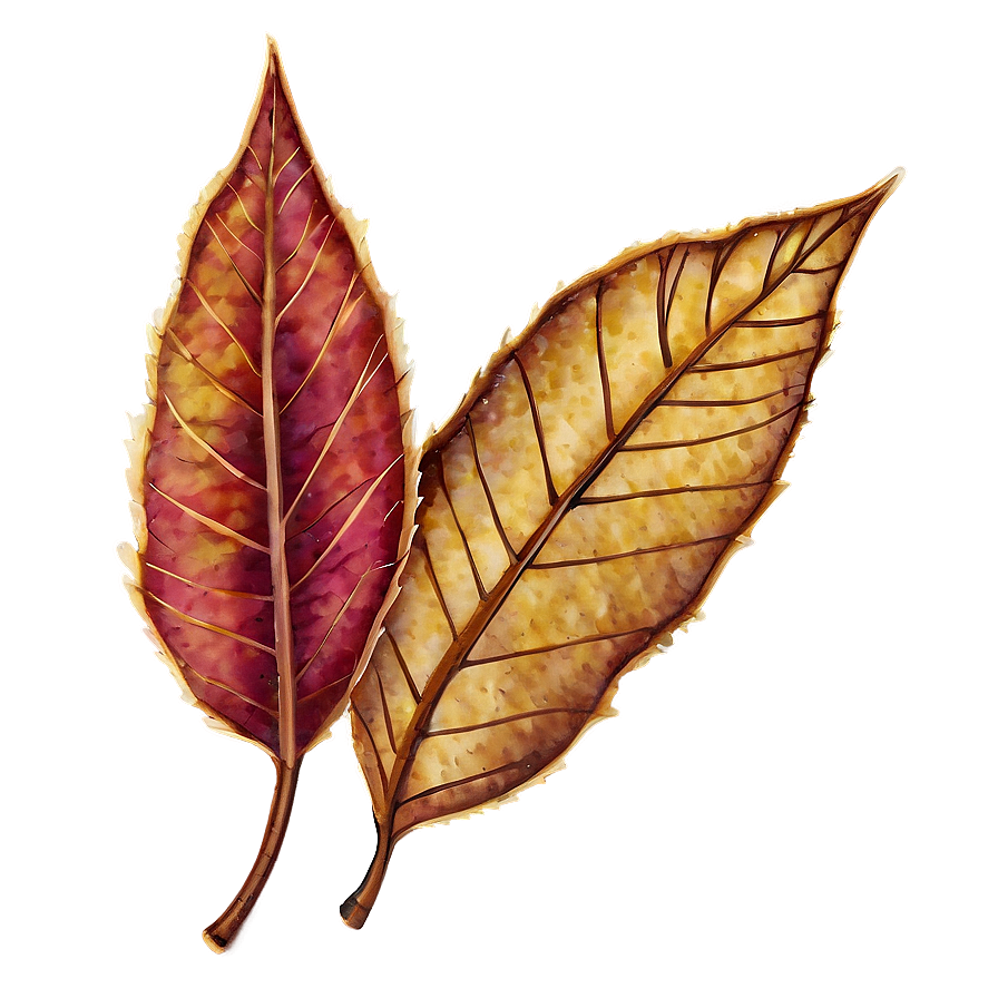 Rustic Autumn Leaves Png Yna PNG Image