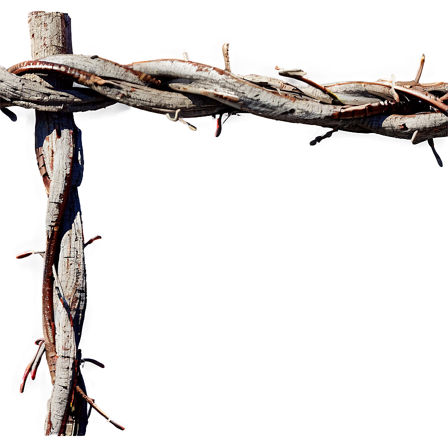 Rustic Barbed Wire Png Mox65 PNG Image