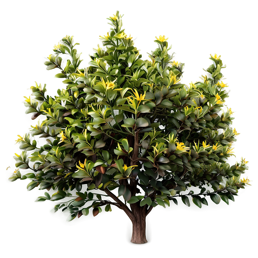 Rustic Bush Png 41 PNG Image