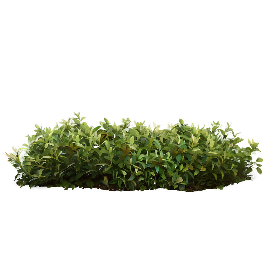 Rustic Bush Png 76 PNG Image