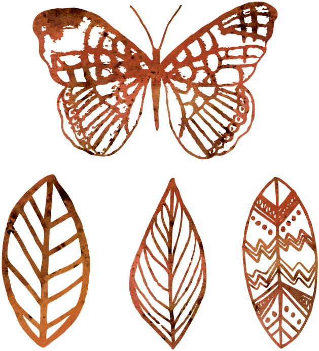 Rustic Butterflyand Leaves Outlines PNG Image