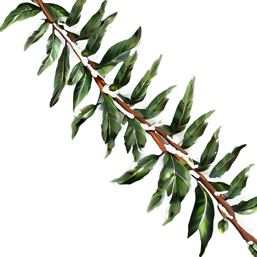 Rustic Laurel Garland Png Xpx PNG Image