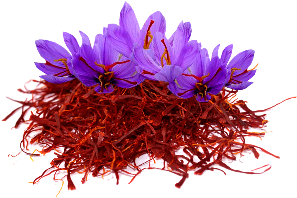 Saffron Stigmasand Flowers PNG Image