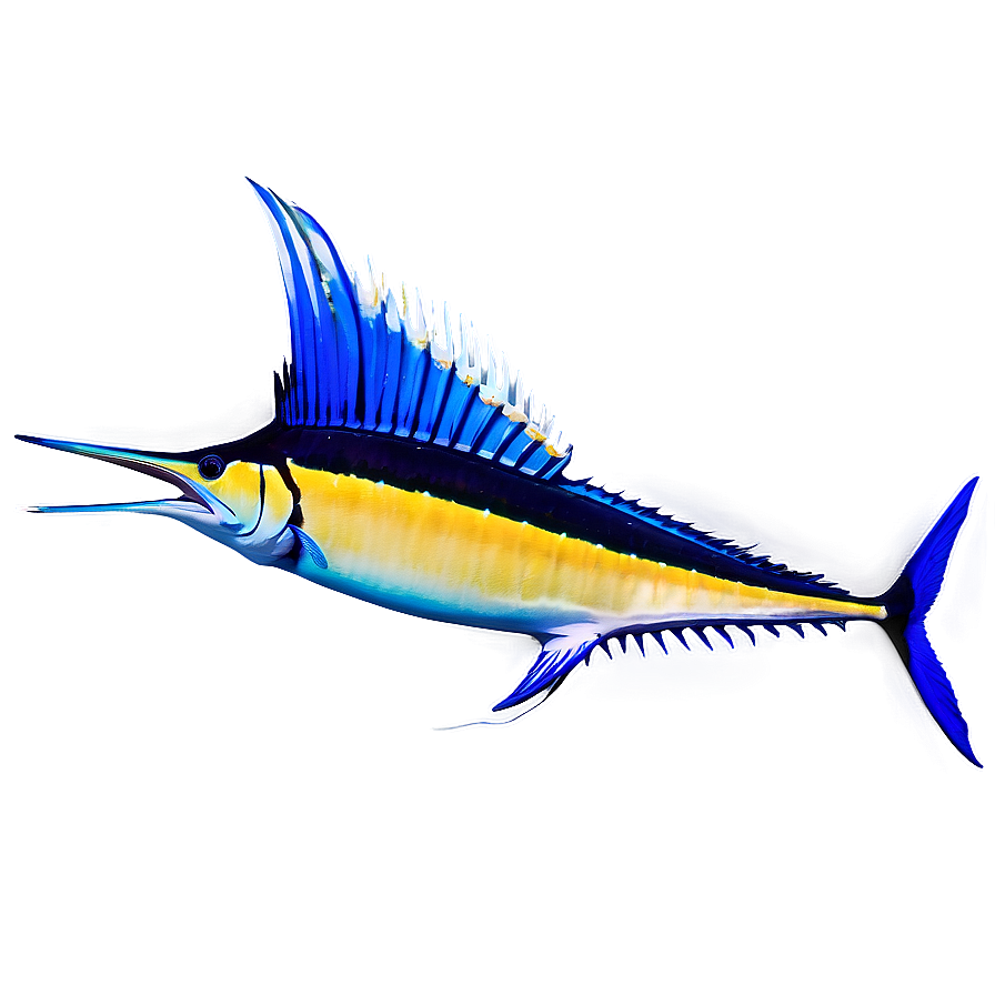 Sailfish Marine Life Png 92 PNG Image