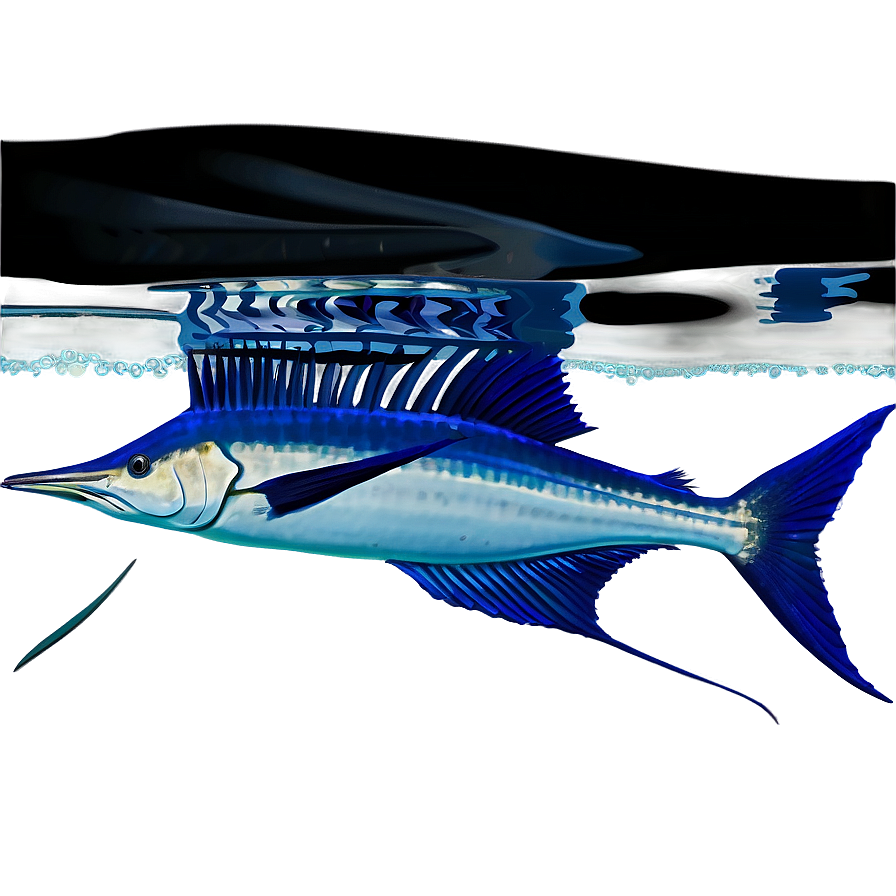 Sailfish Underwater Png 30 PNG Image