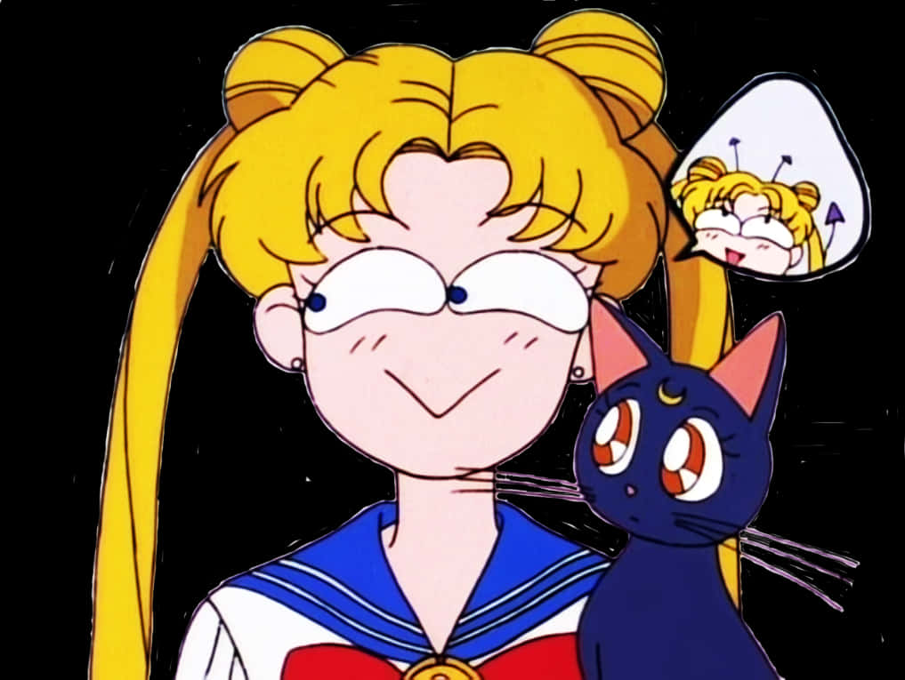 Sailor Moonand Luna Winking PNG Image