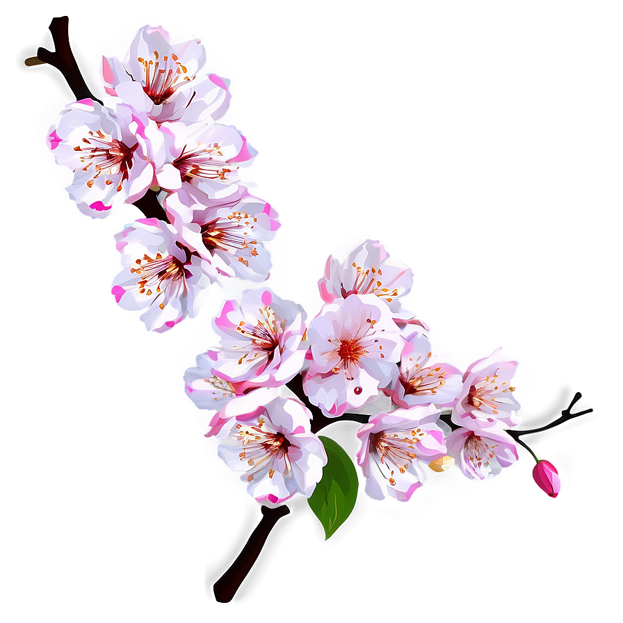 Sakura Floral Design Png Tgu PNG Image