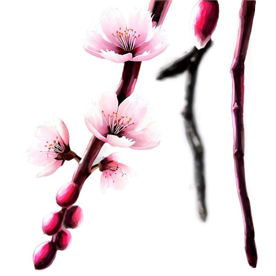 Sakura Flower Under Moonlight Png Trk32 PNG Image