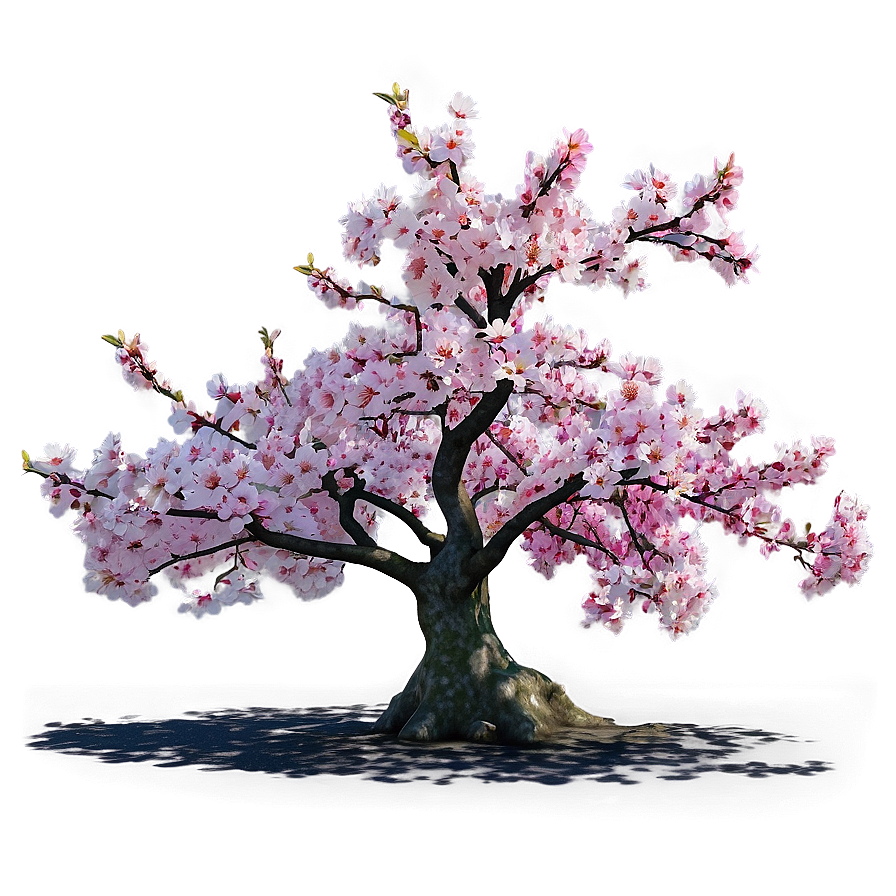 Sakura Tree In Vibrant Colors Png Gum PNG Image