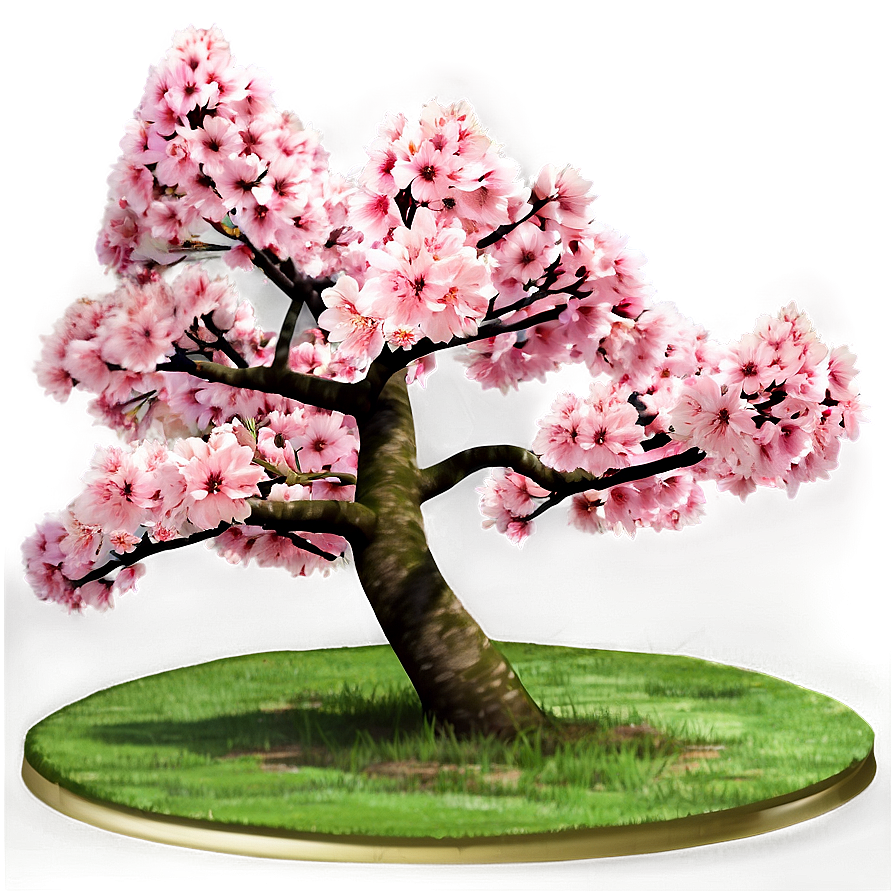 Sakura Tree Png 05242024 PNG Image