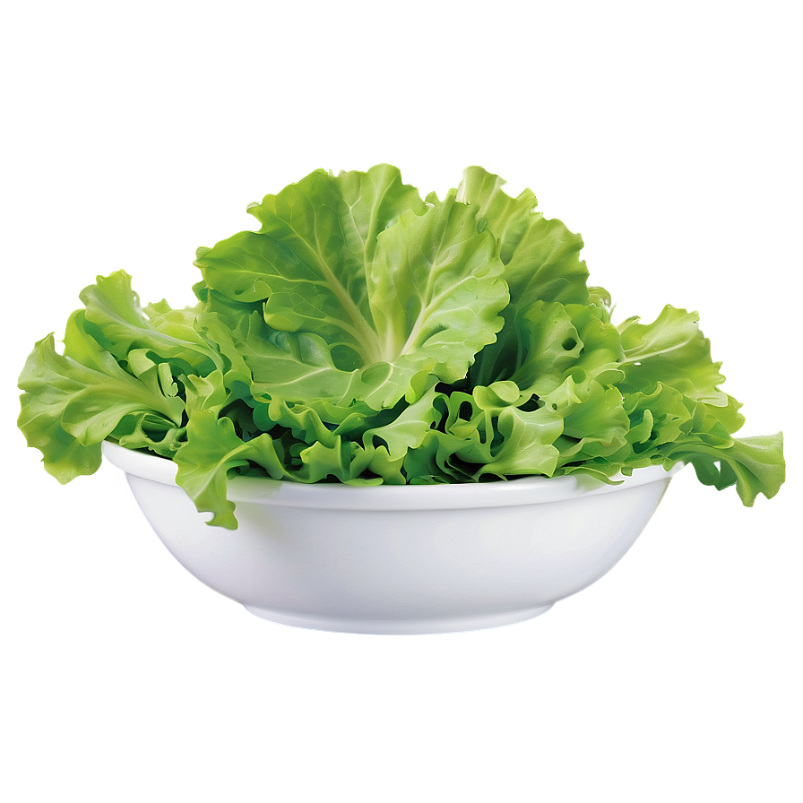 Salad Bowl Lettuce Png 44 PNG Image