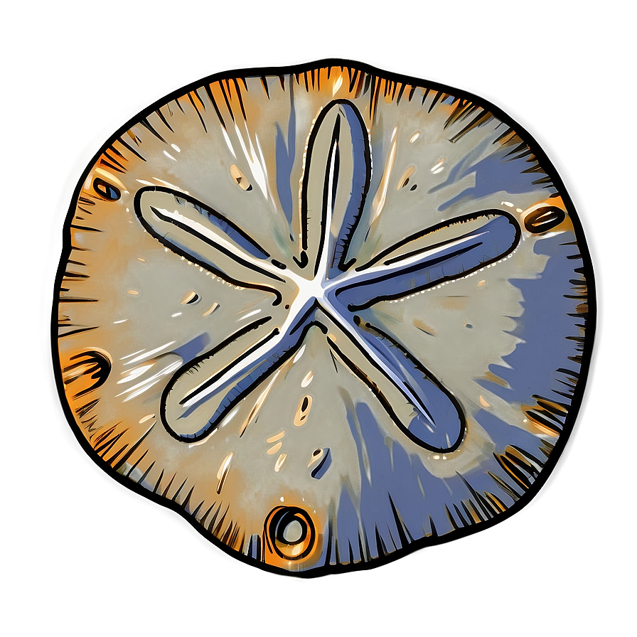 Sand Dollar Sketch Png Qrp62 PNG Image