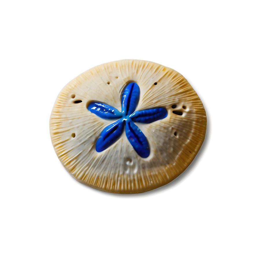 Sand Dollar With Ocean Background Png Fyi PNG Image