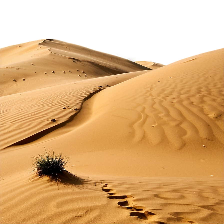 Sand Dunes Silhouette Png Bwa PNG Image