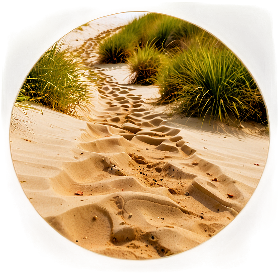 Sand Pathway Png Eui PNG Image