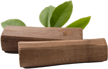 Sandalwood Logswith Green Leaves PNG Image