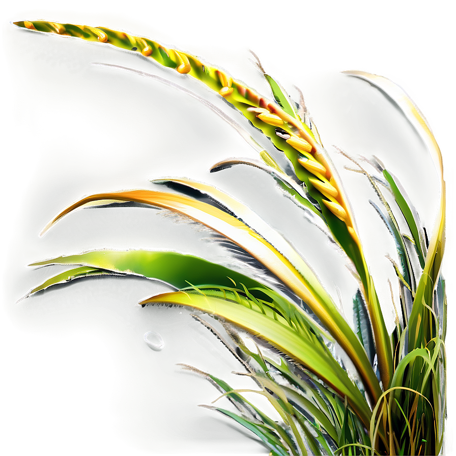 Sandy Beach Grass Png Bdj PNG Image