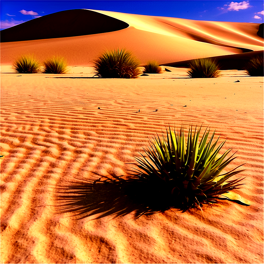 Sandy Desert Oasis Png 06242024 PNG Image