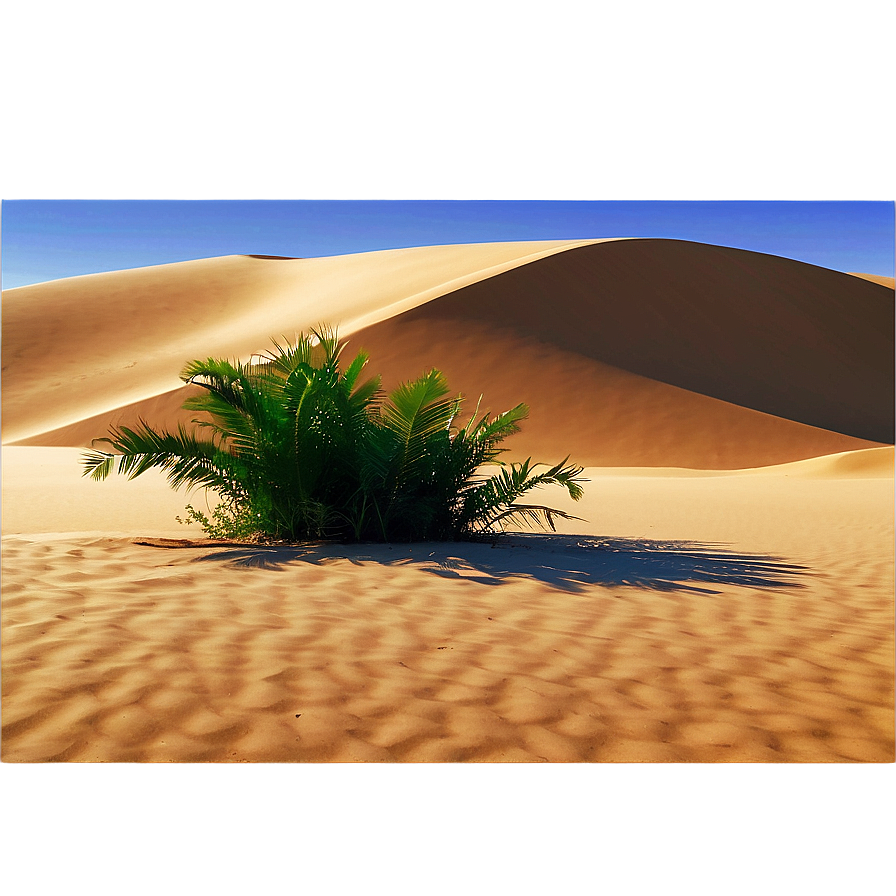 Sandy Desert Oasis Png Vdo13 PNG Image