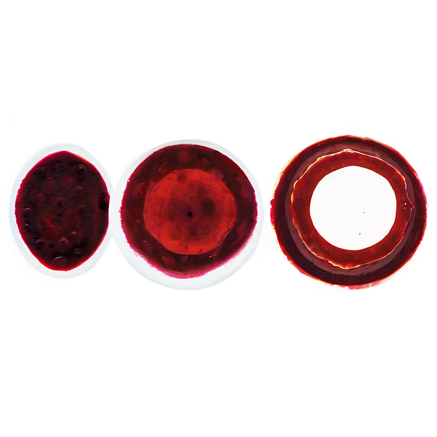 Sanguine Fluid: Blood Smear Png 83 PNG Image