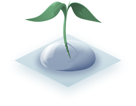 Sapling Growing From Drop Illustration PNG Image