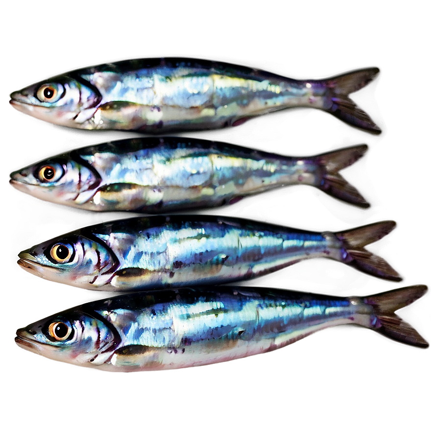 Sardine Pattern Png Ggu PNG Image