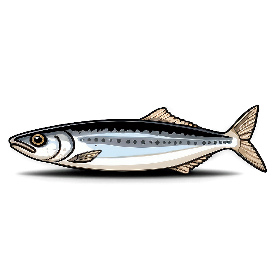 Sardine Sketch Png 23 PNG Image