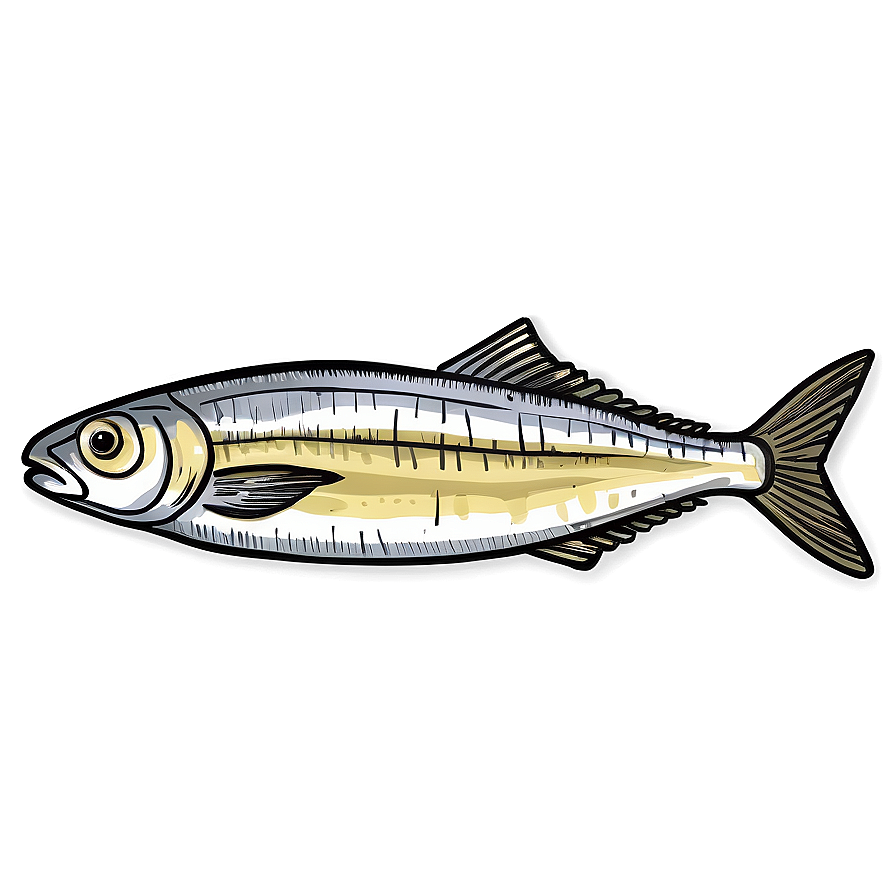 Sardine Sketch Png Ghj PNG Image