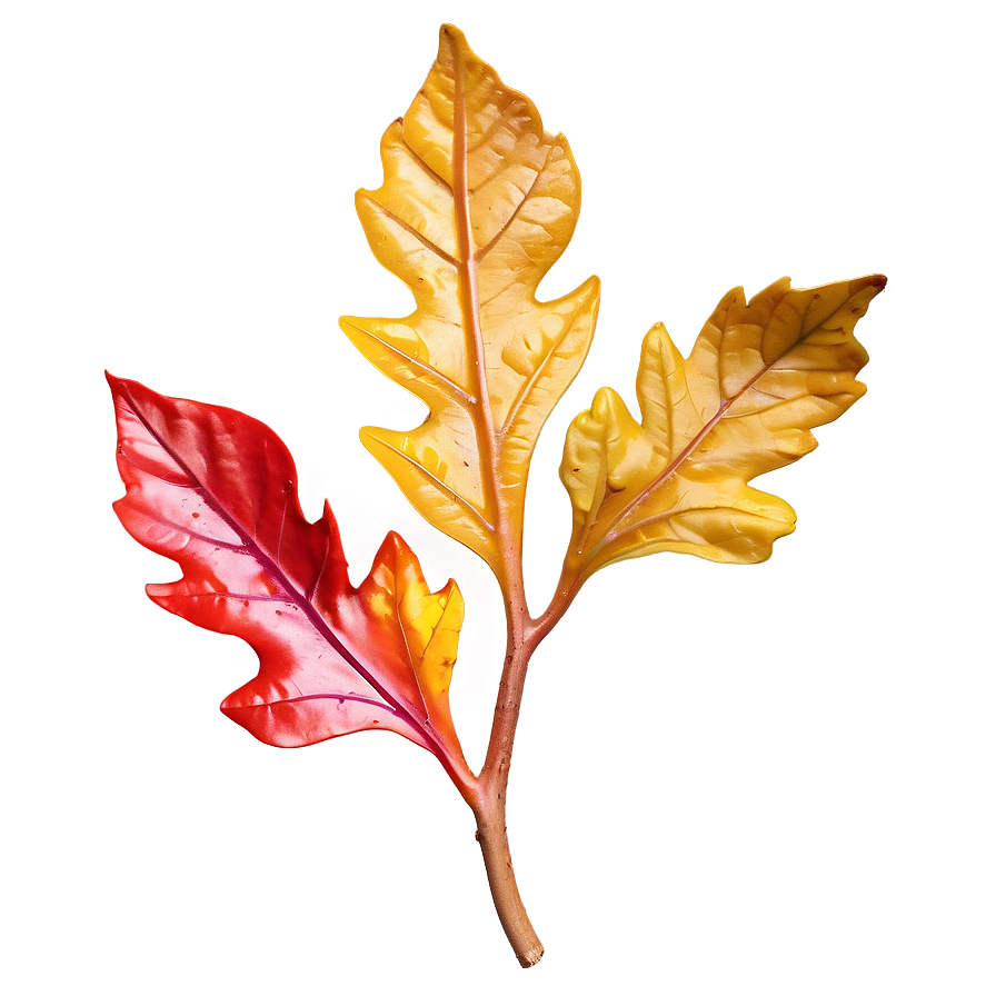 Saturated Fall Leaf Png 05252024 PNG Image