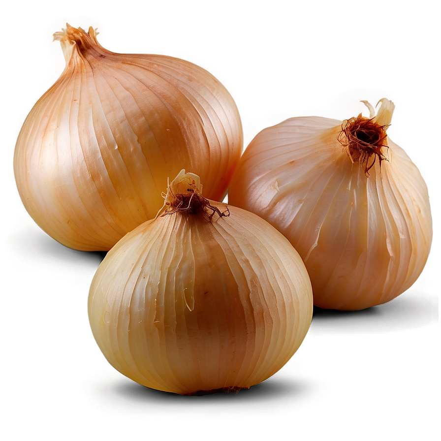 Sautéed Onion Png Rgx81 PNG Image