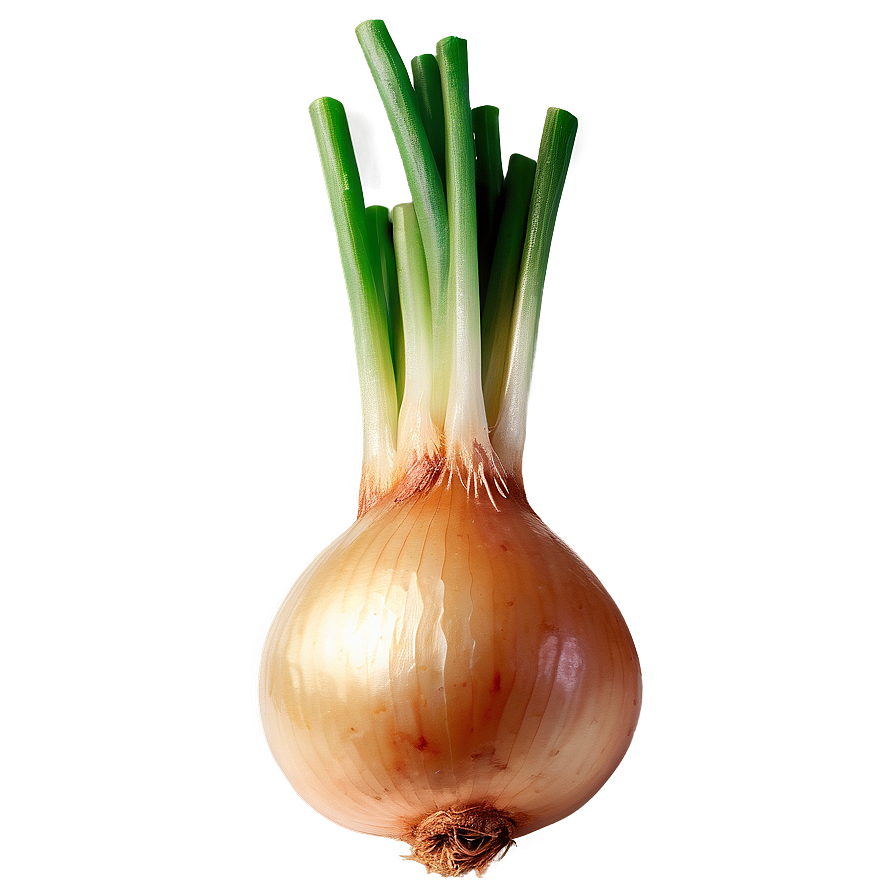 Sautéed Onion Png Rsi95 PNG Image